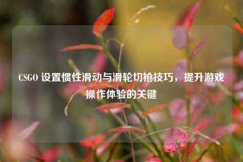 CSGO 设置惯性滑动与滑轮切枪技巧，提升游戏操作体验的关键