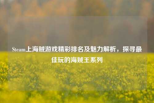 Steam上海贼游戏精彩排名及魅力解析，探寻最佳玩的海贼王系列