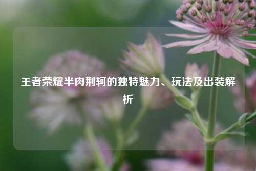 王者荣耀半肉荆轲的独特魅力、玩法及出装解析