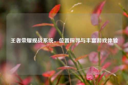 王者荣耀观战系统，位置探寻与丰富游戏体验