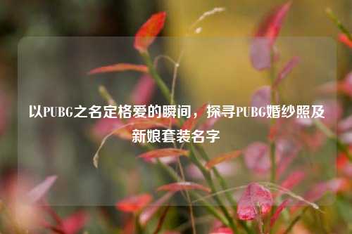 以PUBG之名定格爱的瞬间，探寻PUBG婚纱照及新娘套装名字