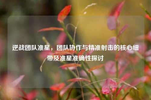 逆战团队准星，团队协作与精准射击的核心纽带及准星准确性探讨