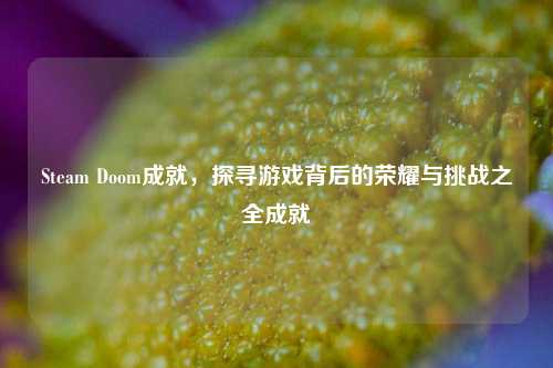 Steam Doom成就，探寻游戏背后的荣耀与挑战之全成就