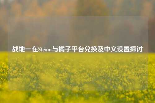 战地一在Steam与橘子平台兑换及中文设置探讨