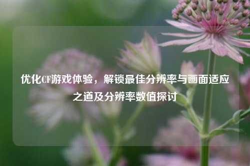 优化CF游戏体验，解锁最佳分辨率与画面适应之道及分辨率数值探讨