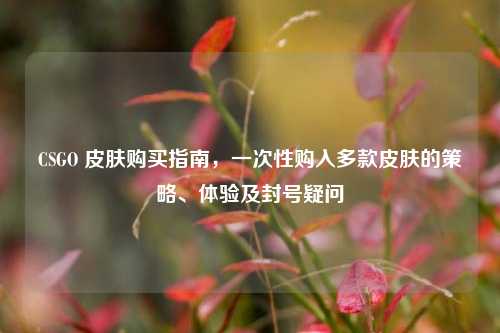 CSGO 皮肤购买指南，一次性购入多款皮肤的策略、体验及封号疑问