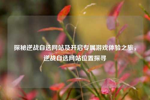 探秘逆战自选网站及开启专属游戏体验之旅，逆战自选网站位置探寻