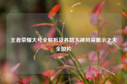 王者荣耀大号全解析及各路大神风采展示之大全图片