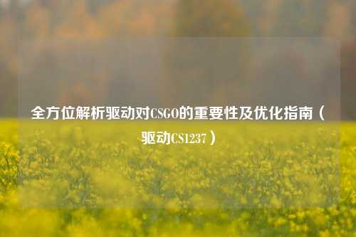 全方位解析驱动对CSGO的重要性及优化指南（驱动CS1237）