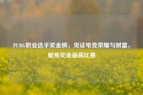 PUBG职业选手奖金榜，见证电竞荣耀与财富，聚焦奖金最高比赛