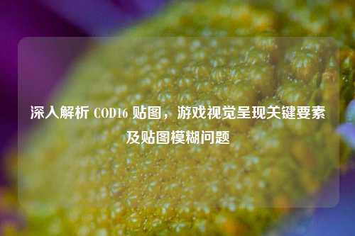 深入解析 COD16 贴图，游戏视觉呈现关键要素及贴图模糊问题