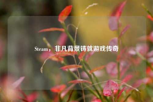 Steam，非凡背景铸就游戏传奇