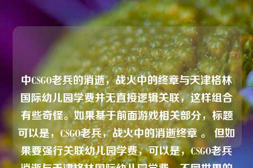 中CSGO老兵的消逝，战火中的终章与天津格林国际幼儿园学费并无直接逻辑关联，这样组合有些奇怪。如果基于前面游戏相关部分，标题可以是，CSGO老兵，战火中的消逝终章 。 但如果要强行关联幼儿园学费，可以是，CSGO老兵消逝与天津格林国际幼儿园学费，不同世界的两种印记 ，你看看是否符合需求，或者你可以进一步解释下组合这些内容的意图，以便我生成更准确的标题 。