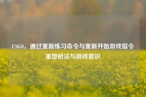CSGO，通过重新练习命令与重新开始游戏指令重塑枪法与游戏意识