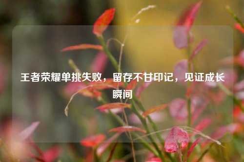 王者荣耀单挑失败，留存不甘印记，见证成长瞬间
