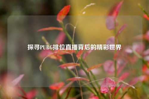 探寻PUBG排位直播背后的精彩世界