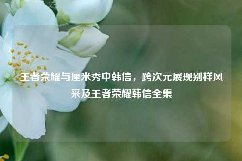 王者荣耀与厘米秀中韩信，跨次元展现别样风采及王者荣耀韩信全集