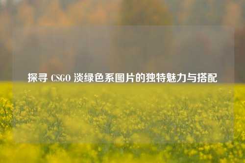 探寻 CSGO 淡绿色系图片的独特魅力与搭配