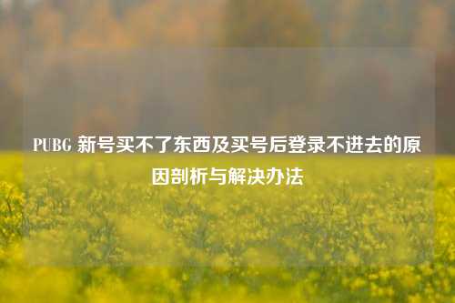 PUBG 新号买不了东西及买号后登录不进去的原因剖析与解决办法
