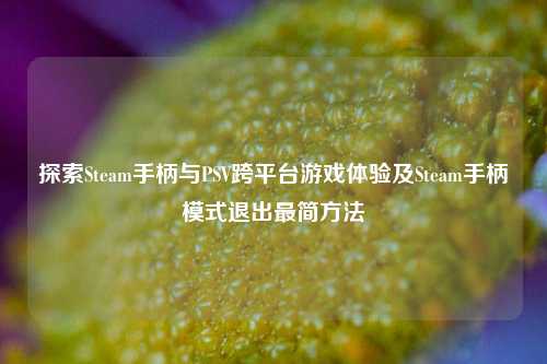 探索Steam手柄与PSV跨平台游戏体验及Steam手柄模式退出最简方法