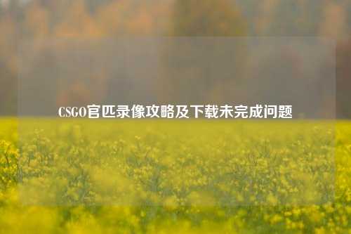 CSGO官匹录像攻略及下载未完成问题