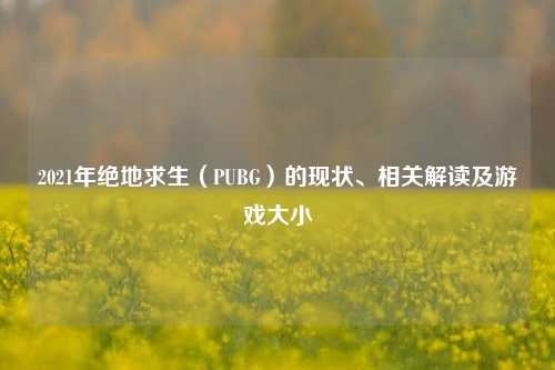 2021年绝地求生（PUBG）的现状、相关解读及游戏大小
