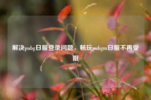 解决pubg日服登录问题，畅玩pubgm日服不再受阻