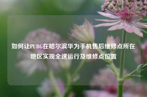 如何让PUBG在哈尔滨华为手机售后维修点所在地区实现全速运行及维修点位置