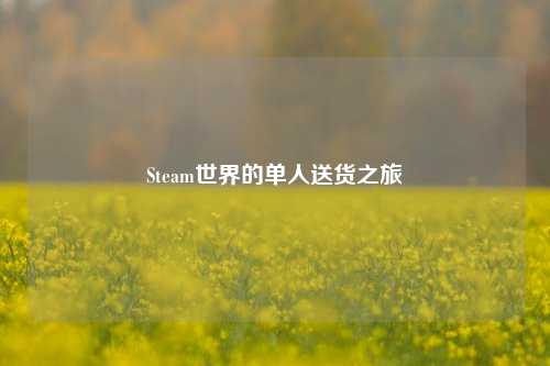 Steam世界的单人送货之旅