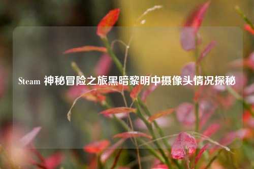 Steam 神秘冒险之旅黑暗黎明中摄像头情况探秘