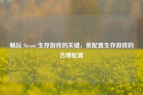 畅玩 Steam 生存游戏的关键，低配置生存游戏的合理配置