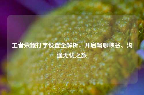 王者荣耀打字设置全解析，开启畅聊峡谷、沟通无忧之旅