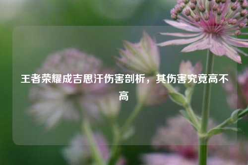 王者荣耀成吉思汗伤害剖析，其伤害究竟高不高