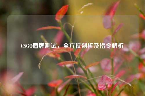 CSGO盾牌测试，全方位剖析及指令解析