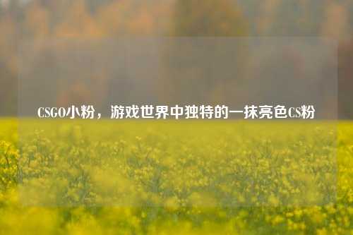 CSGO小粉，游戏世界中独特的一抹亮色CS粉