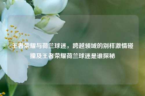 王者荣耀与荷兰球迷，跨越领域的别样激情碰撞及王者荣耀荷兰球迷是谁探秘
