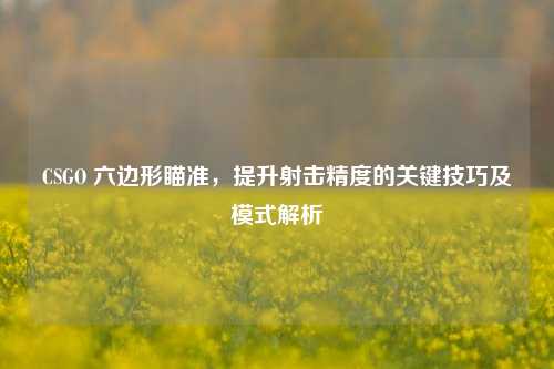 CSGO 六边形瞄准，提升射击精度的关键技巧及模式解析