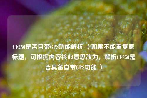 CF250是否自带GPS功能解析 （如果不能重复原标题，可根据内容核心意思改为，解析CF250是否具备自带GPS功能 ）