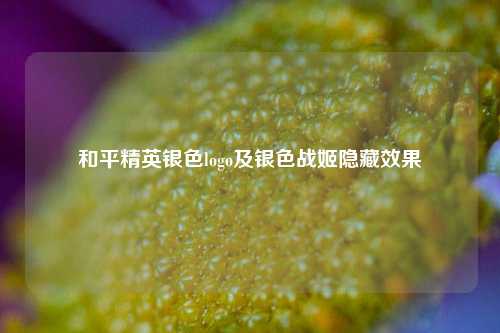和平精英银色logo及银色战姬隐藏效果