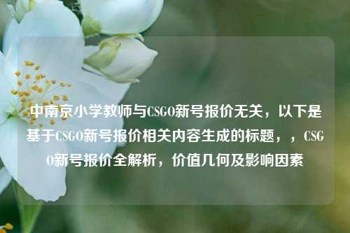 中南京小学教师与CSGO新号报价无关，以下是基于CSGO新号报价相关内容生成的标题，，CSGO新号报价全解析，价值几何及影响因素