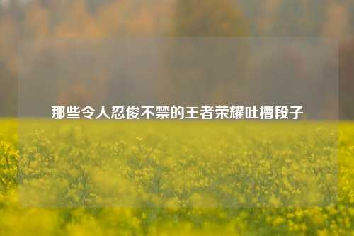 那些令人忍俊不禁的王者荣耀吐槽段子