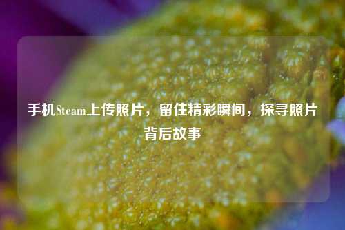手机Steam上传照片，留住精彩瞬间，探寻照片背后故事