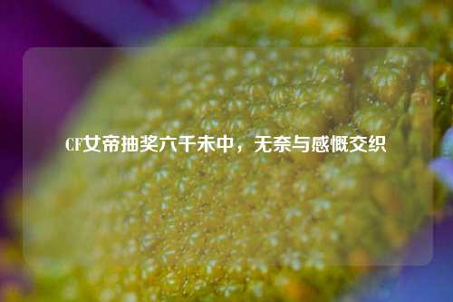 CF女帝抽奖六千未中，无奈与感慨交织