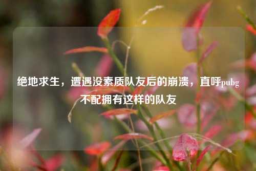 绝地求生，遭遇没素质队友后的崩溃，直呼pubg不配拥有这样的队友