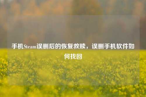 手机Steam误删后的恢复救赎，误删手机软件如何找回