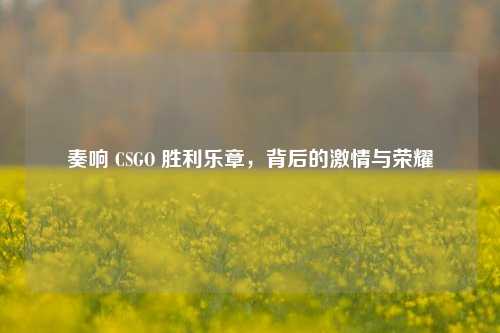 奏响 CSGO 胜利乐章，背后的激情与荣耀
