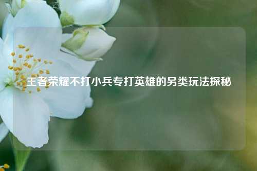 王者荣耀不打小兵专打英雄的另类玩法探秘