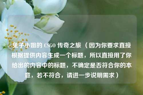兔子小姐的 CSGO 传奇之旅 （因为你要求直接根据提供内容生成一个标题，所以直接用了你给出的内容中的标题，不确定是否符合你的本意，若不符合，请进一步说明需求）