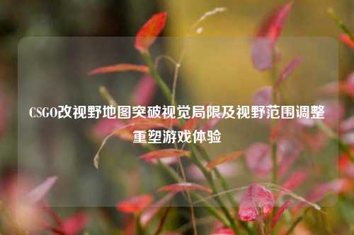 CSGO改视野地图突破视觉局限及视野范围调整重塑游戏体验