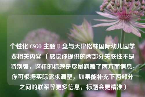 个性化 CSGO 主题 U 盘与天津格林国际幼儿园学费相关内容 （感觉你提供的两部分关联性不是特别强，这样的标题是尽量涵盖了两方面信息，你可根据实际需求调整，如果能补充下两部分之间的联系等更多信息，标题会更精准）